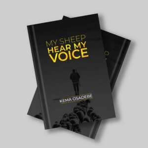 My sheep hears my voice